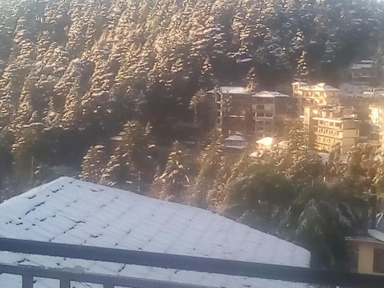 Mountain And Moon, Dharamkot Hotel Dharamshala Exterior foto